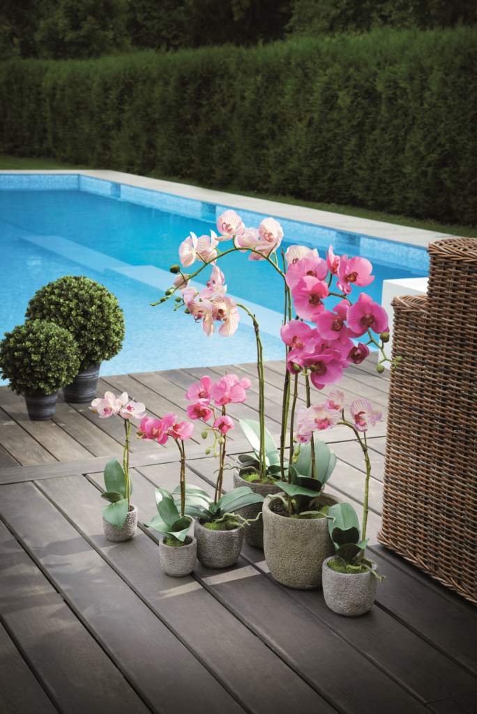 SIA EN DOCRYS & DC, plantas artificiales