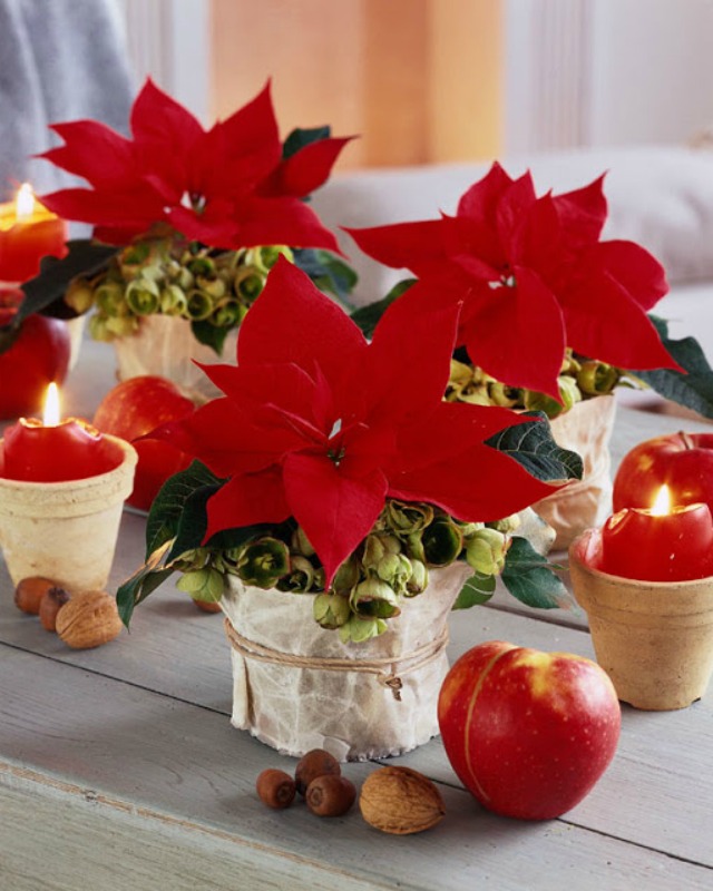 HAZ QUE LLEGUE LA NAVIDAD A TU COCINA