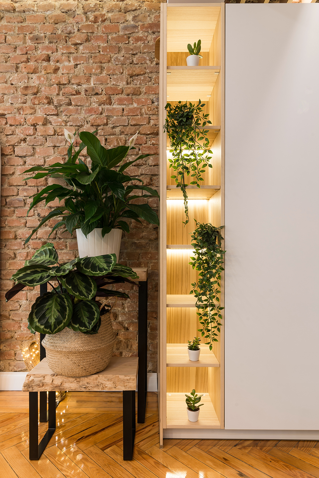 Tendencias de Decoración en Verano: Plantas