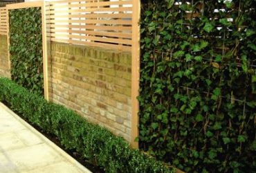 Cómo decorar tus espacios de forma "eco": jardines verticales