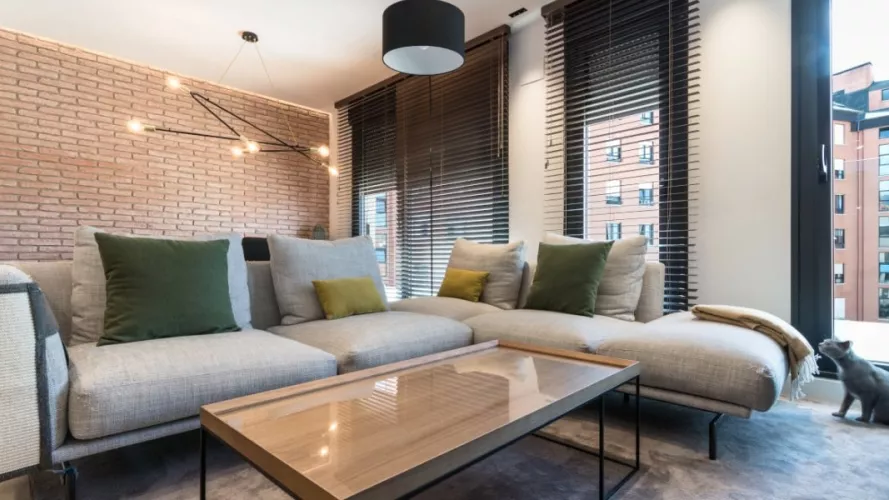 Diseño integral salón sofá MC y mesa baja Emede