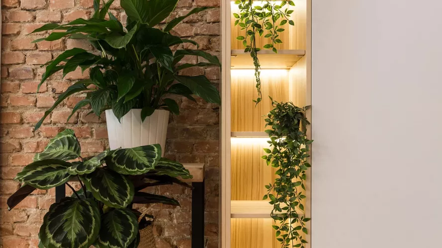 Columnas, espacio natural