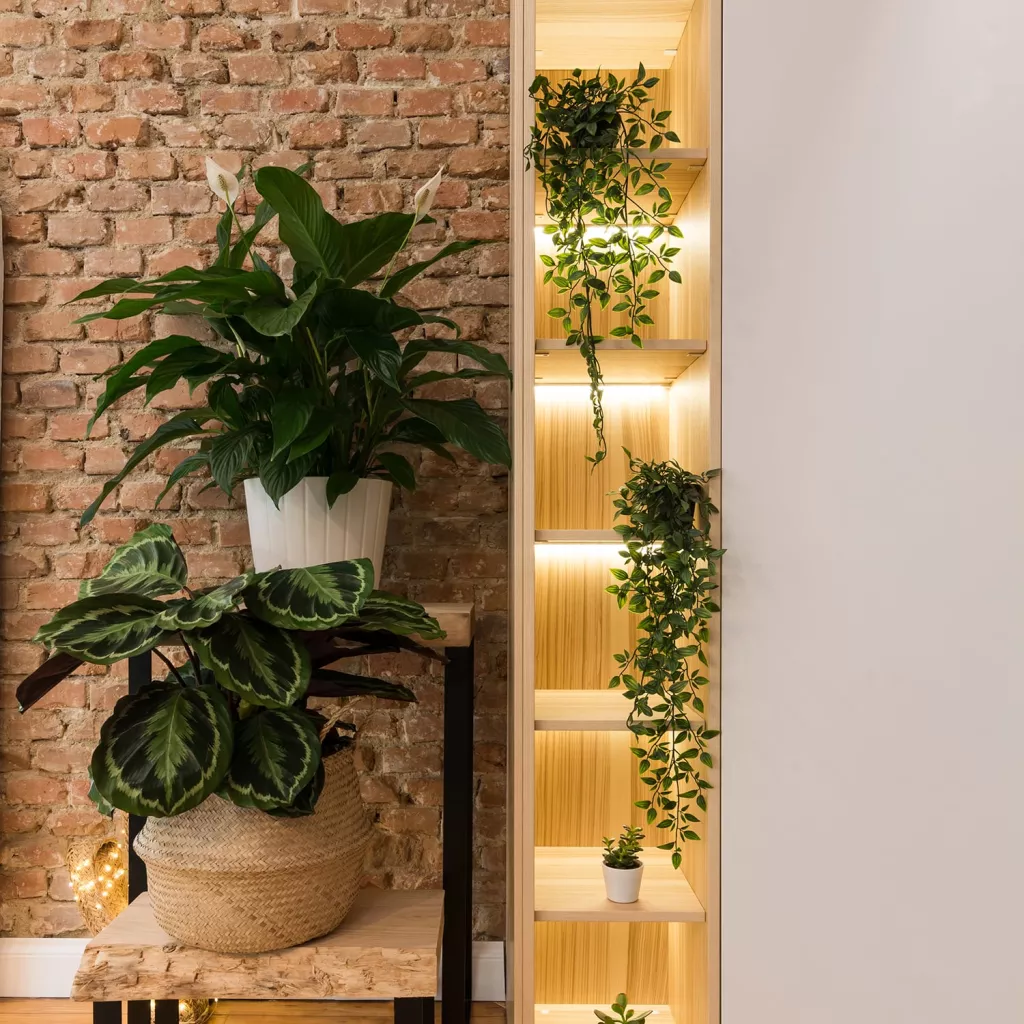 Columnas, espacio natural