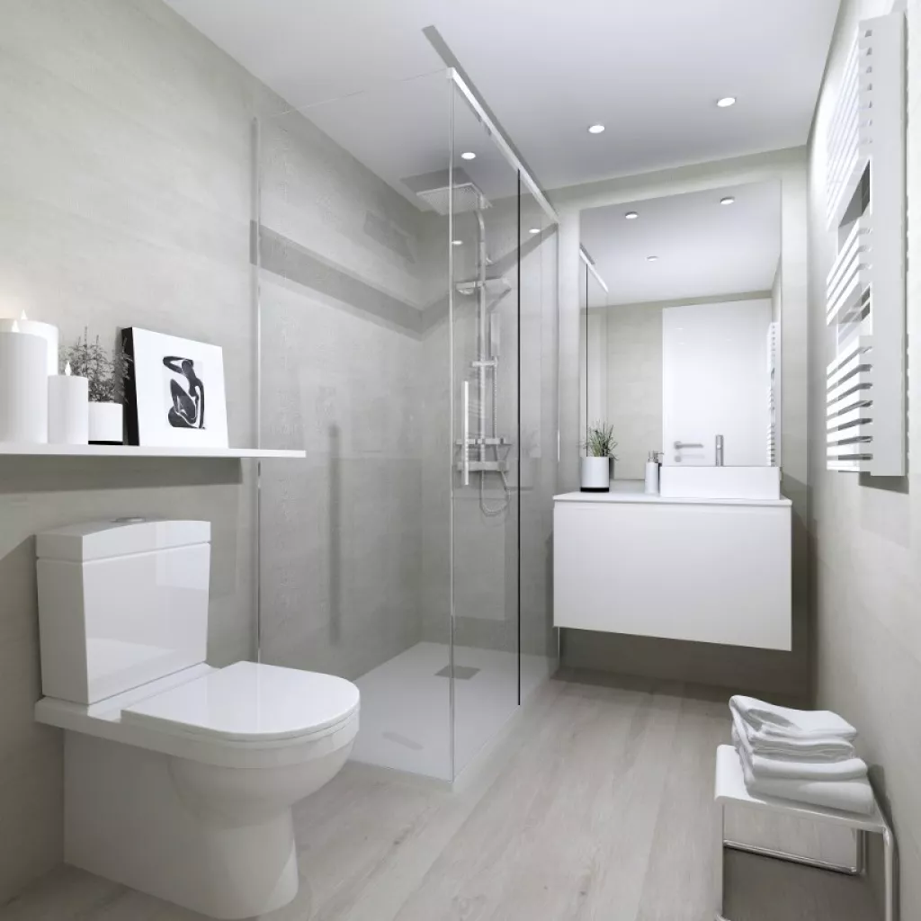 Proyecto de Baño íntimo